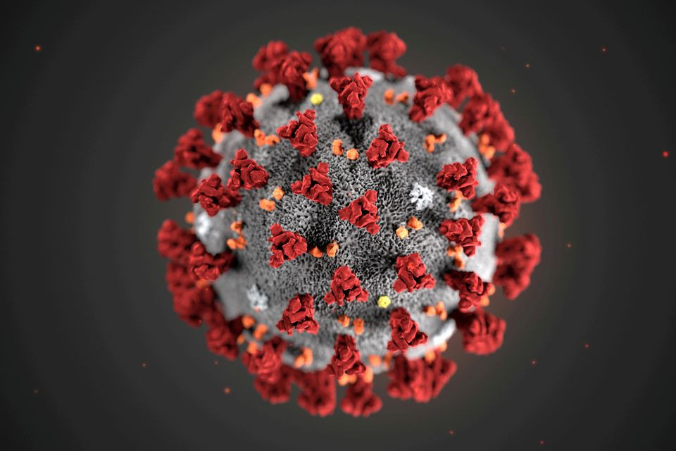 新冠病毒变体XEC在欧洲出现，科学家对快